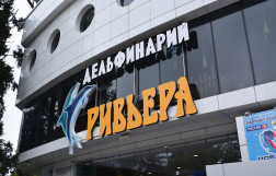 Большой Сочинский Дельфинарий